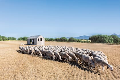 En el camino, el dibujo arquetípico de la infancia adquiere una robusta forma real con tecnologías que expanden sus horizontes más allá de la imaginación.