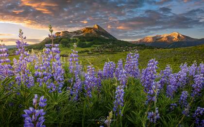 En el campo de la fotografía, Leonardo tuvo una excelente recepción, con reconocimientos a nivel local y estatal.