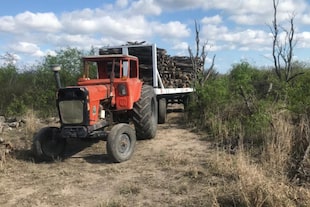 En el campo producen hasta 140 toneladas de madera al mes