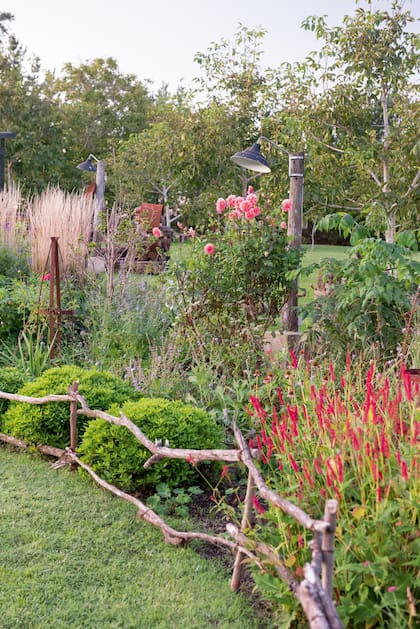 En el cantero se destacan las flores de dalias y persicarias