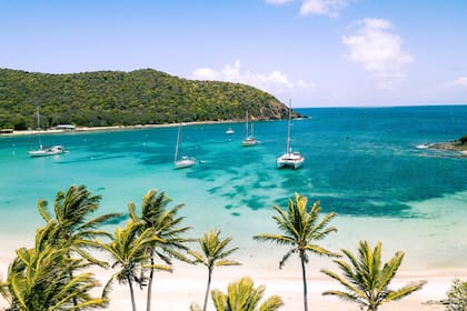 En el Caribe están las islas grandes, las islas chicas y las aún más chicas. En esta categoría entran las cinco de esta selección