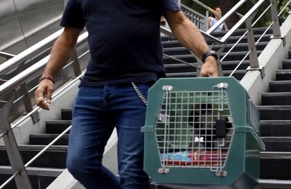 En el caso de que no estén garantizadas las condiciones de seguridad, el personal del Subte estará capacitado para impedir o restringir el ingreso de las mascotas