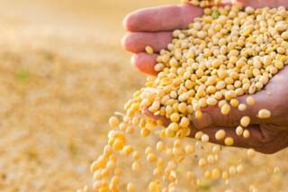 Lo que pasa al cortar la “fibra óptica” de los precios reales