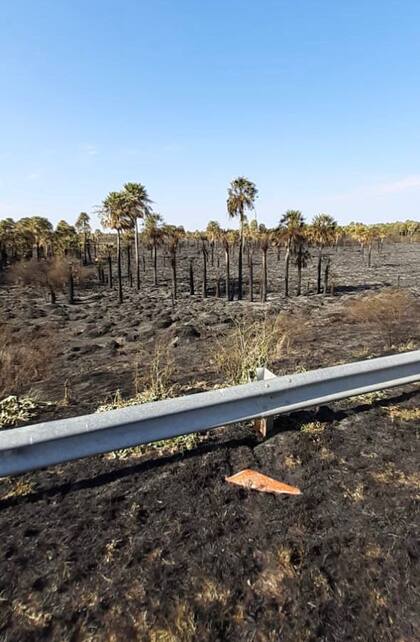 En el centro de Santa Fe el fuego afectó el departamento de Vera y San Jerónimo