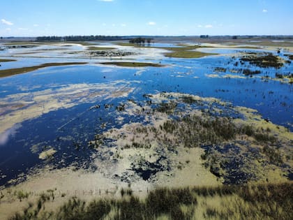 En el centro oeste bonaerense hoy se registran inundaciones