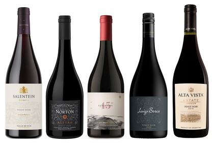 En el centro un Pinot de Chubut, rodeado de mendocinos