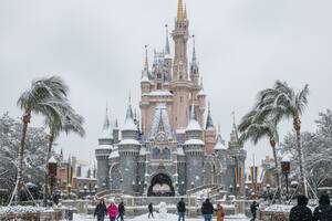 El antecedente reciente en Florida y lo que dicen los expertos