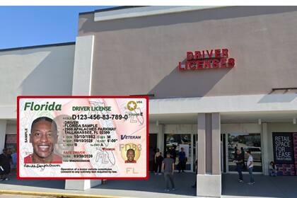 En el condado de Miami-Dade, los servicios de licencias de conducir han registrado largas filas y tiempos de espera