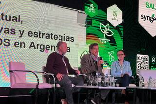 Se conocieron mapas digitales sobre qué pasa con el carbono en el suelo argentino