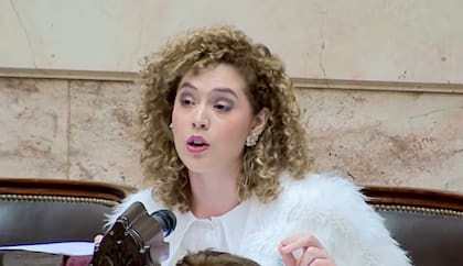 En el debate de la reforma de la ley de glaciares, la diputada Lourdes Arrieta adelantó que su voto será negativo