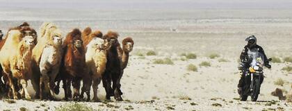 En el desierto de Gobi