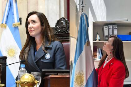 En el Día de la Bandera, la Vicepresidenta también publicó imágenes con la escarapela