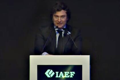 En el discurso dado en la convención del Instituto Argentino de Ejecutivos de Finanzas (IAEF), días antes de la sesión en Diputados, el presidente Javier Milei afirmó que vetará cualquier ley que afecte el equilibrio fiscal