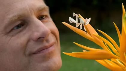 En el documental de BBC, Packham relató su particular manera de experimentar el mundo