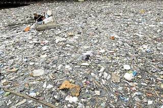 La ONU exige cambios sin precedente para evitar una catástrofe medioambiental