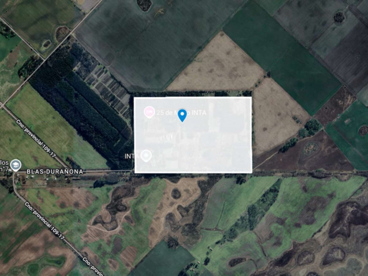 “En desuso”: el Gobierno acelera para desafectar del INTA a casi 34.000 hectáreas