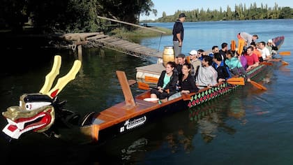 En el Dragon Boat van 20 remeros