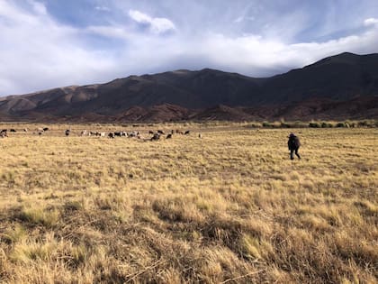 En el encuentro con LA NACION, Eulogia pidió no ser fotografiada de cerca.