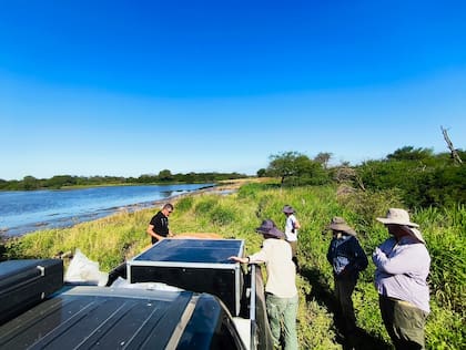 En el equipo de la startup explicaron que es como hacer una “siembra a medida”, adaptando cada intervención a las condiciones reales del lugar para aumentar las probabilidades de éxito y regenerar el ecosistema de forma más inteligente