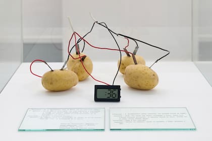 En el espacio de Fan, se exhibe la obra de Víctor Grippo