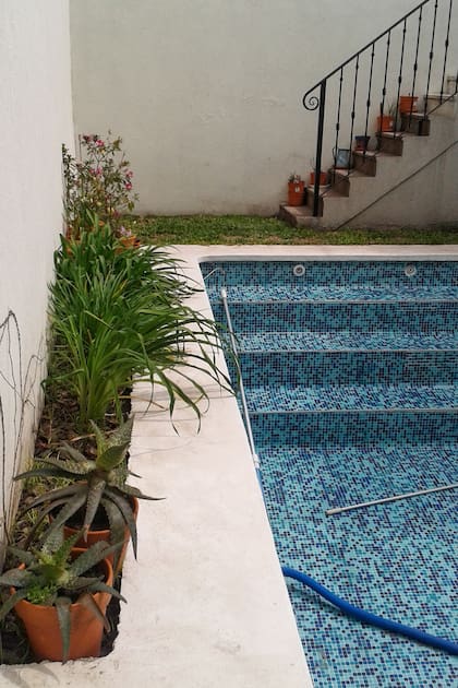 En el espacio de la piscina había una pared sin vegetación con algunas macetas en el suelo.