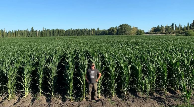 De 30 vacas a una cabaña en crecimiento: el proyecto ganadero que se consolidó en el valle irrigado de Río Negro
