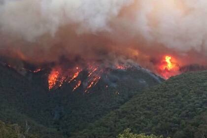 En el estado de Victoria, los incendios devoraron miles de hectáreas