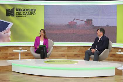 Eleonora Cole, periodista de LN+, y Daniel Pelegrina, titular de la SRA, en uno de los paneles