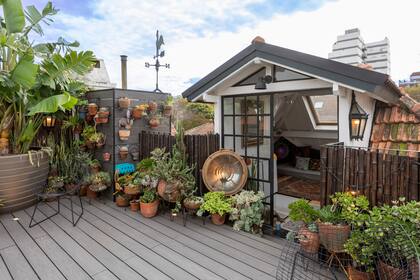 En el exterior, piso de WPC, macetones rotomoldeados (Estudio Cabeza) con gigantescas strelitzias y macetas con suculentas