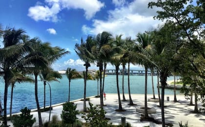 En el extremo sur de South Beach, South Pointe Park cuenta con vistas panorámicas a la playa, Fisher Island y PortMiami .
