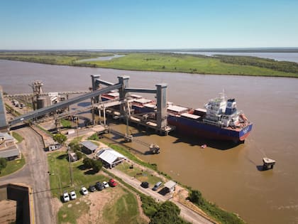 En el Gran Rosario, en un tramo de 70 kilómetros sobre el río Paraná, entre Timbúes al norte y Arroyo Seco al sur, se ubican 30 terminales portuarias. De ese total, 18 despachan al mundo productos agroindustriales