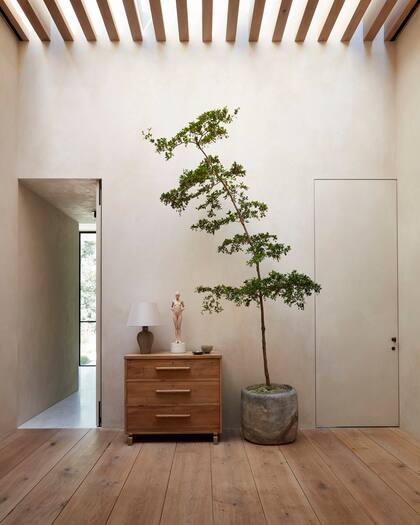 En el hall de acceso, el cielo raso con un varillado de madera funciona como una gran claraboya.