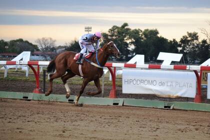 En el hipódromo de La Plata no comenzó la temporada todavía; en sus pistas se entrenan los caballos, pero para correr deben ir a otros hipódromos