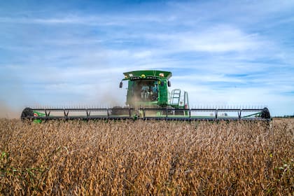 En el informe destacan que la nueva posibilidad de que ingresen usados importados puede generar algunos cambios en la dinámica del mercado argentino
