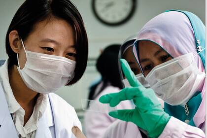 En el informe destacaron que es fundamental que las vacunas que se utilicen cumplan con las normas internacionales de la OMSA