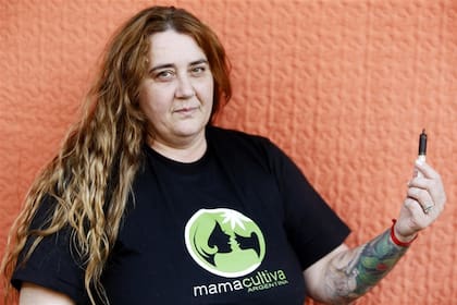 En el INTA estiman que los primeros cultivos de cannabis estarían a fines de año