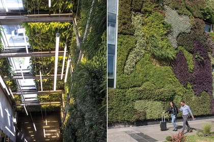 En el interior del edificio, las especies vegetales más relevantes utilizadas son Aráceas (varias especies), Chlorophytum sp., Nephrolepis sp., Polypodium sp., Platycerium sp., Codiaeum sp., Peperomia magnoliifolia. El diseño se completa con las tiras de luces verticales, suspendidas del techo a dis