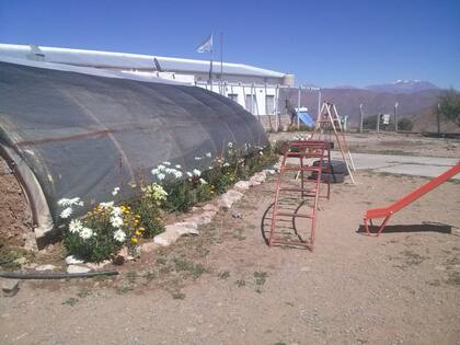En el invernadero de la escuela, que funciona desde el 2012, se siembra y cosecha verduras, hortalizas y especias