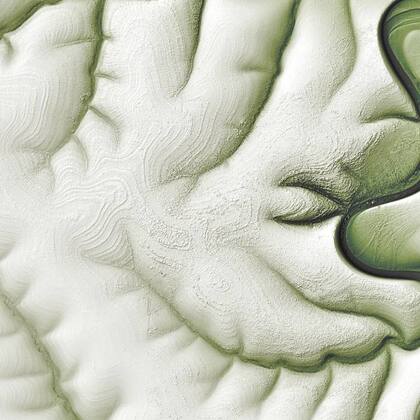 En el invierno siberiano, los dibujos que presenta la región se hacen más notorios, como se ve en esta imagen satelital