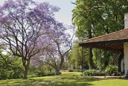 En el jardín de la Quinta Los Ombúes, en San Isidro, predomina una extensa alfombra verde de césped que funciona como una terraza que mira a la ribera.