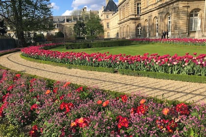 En el Jardín de Luxemburgo se pueden disfrutar de flores frescas y diversas todo el año.
