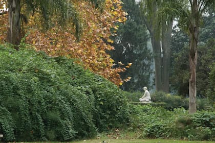 En el jardín diseñado por Benito Carrasco fueron incorporadas unas 150 especies de plantas.