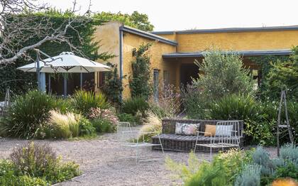 “En el jardín se corta pasto y se hace muy poco mantenimiento. A Paula le gusta así, desordenado. Cada planta tome su lugar y eso le da su magia”, cuenta la paisajista.