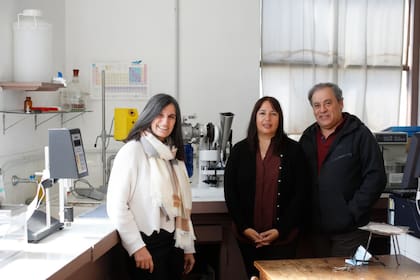 En el laboratorio del Cidec de la Facultad de Farmacia y Bioquímica de la UBA, (de izquierda a derecha) los investigadores Valeria Trípodi, Silvia Lucangioli y Fabián Buontempo