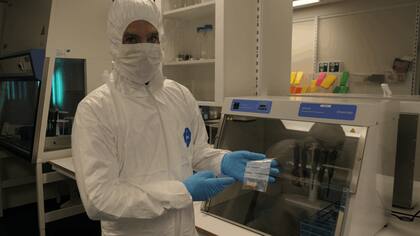 En el laboratorio, el equipo del que forma parte el investigador Ricardo Rodríguez Varela analizó cientos de muestras (Foto: David Díez del Molino)