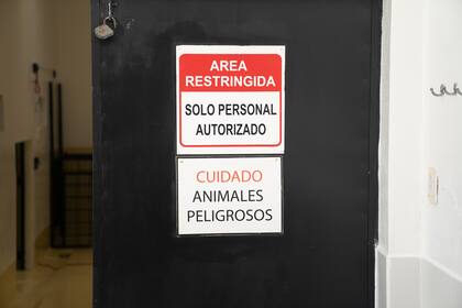 En el laboratorio se preparan las comidas y se cura a los animales.