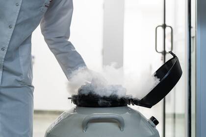 En el laboratorio tienen más de mil embriones de caballos vitrificados y conservados en nitrógeno a una temperatura cercana al cero absoluto