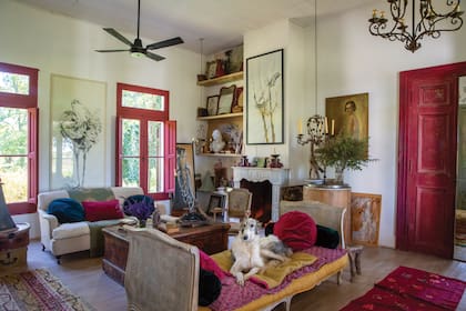 En el living de su casa, al igual que en los demás ambientes, Isabel dispuso sus obras de arte con animales y naturaleza, como los inmensos cuadros de ñandúes y teros de Enriqueta Gahan (@gahanenriqueta), fotos de su hermana Clara y Uberto Gasche. En el sillón, Dersu, el otro galgo Borzoi.