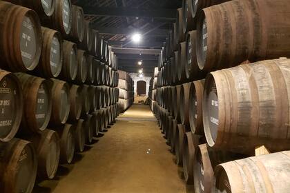 En el lodge de Graham´s, en Vila Nova de Gaia, se guardan unas 3500 barricas de Oporto