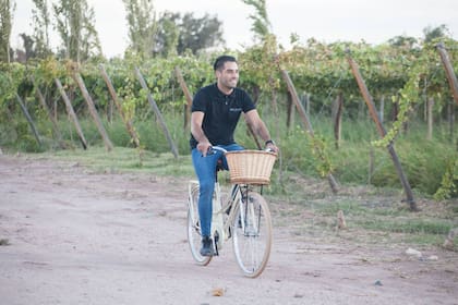 En el lodge, los días pasan alrededor de la piscina o paseando en bici por los viñedos.